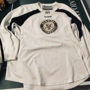 Vermont Catamounts NCAA Adidas Team Worn Vermont Hockey Jersey